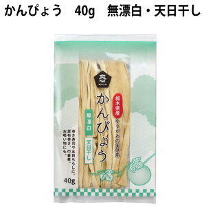 ҂傤@40g×10 YY҂傤@̓