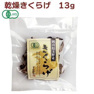 OEGlX L@炰z[ 13g×20pbN