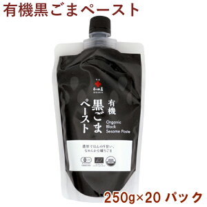 ac L@܃y[Xg 250g 20pbN@̓