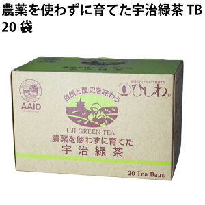 Ђ_g킸ɈĂFΒTB 20 10@̓