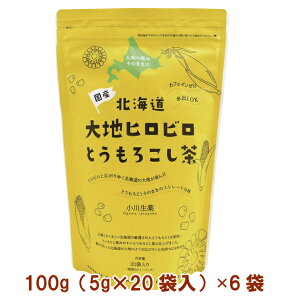 쐶 kCnqrƂ낱 100gi5g×20j 6܁@̓