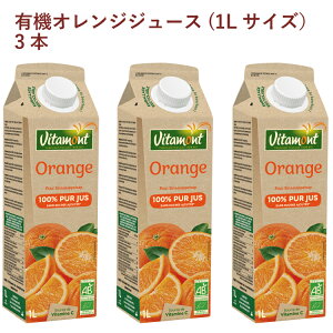 AT L@IWW[X(1LTCYj 1000ml 3pbN@Mtg  ̓ ̓ j a Ԃ  Ε@̓