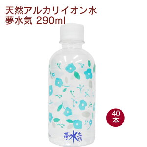 bY C 290ml 40{@VR@VR~lEH[^[@^тɕ֗@TCY