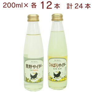 Fۓ FTC_[ ߂݂200mlE΂200ml e12{iv24{jY_@̓