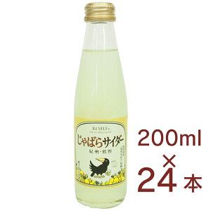 Fۓ IBEF ΂TC_[ a̎RY΂gp 200ml× 24{@Y_@̓
