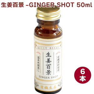 後藤製菓 生姜百景-GINGER SHOT 50ml 6本
