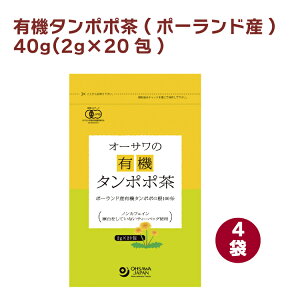 I[TWp I[T̗L@^||(|[hY) 40g(2g×20) 4 