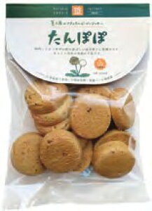 sH[ i`r[KNbL[ۂ 80g@6@̓