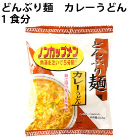 無添加 どんぶり麺 ノンカップメン カレーうどん 1食分　×48袋 国産小麦粉使用