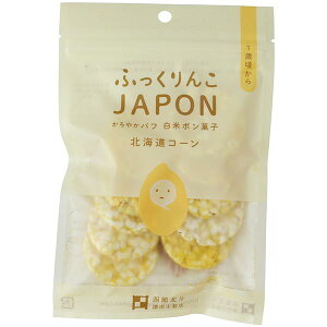 VcčX ӂJAPONEā@kCR[ 15gi10j 24