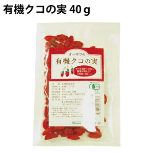 L@NR̎@40g×5 X[p[t[hASWx[@̓