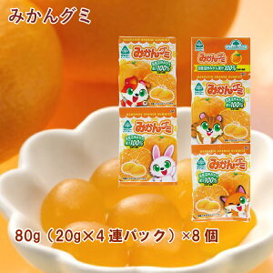 TR[ ݂O~ 20g×4ApbNE 8@̓