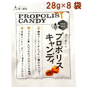 y R[{̃v|XLfB[ 28g 8܁@̓