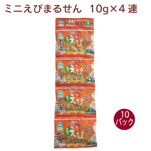 TR[ ~jт܂邹 10g×4 10pbN@Aَq@Hא؃TCY@܁@݂艺َq@@̓