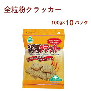 Y TR[ َq SNbJ[ 100g×10pbN Ygp@̓