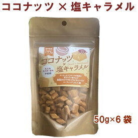 Natural Bean ココナッツ×塩キャラメル 50g 6袋