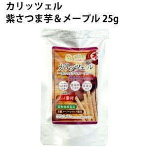 TR[ JbcF ܈[v 25g 8܁@܂@َq@@̓