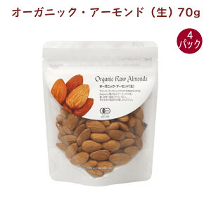 At@[hX^bt I[KjbNEA[hij 70g 4܁@̓