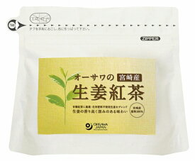 オーサワ オーサワの生姜紅茶（ティーバッグ） 60g(3g×20包) 3パック