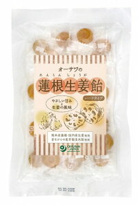 I[T I[T̘@I(n[h^Cv) 80g@40