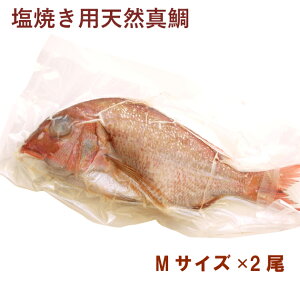 y\z  ĂpVR^ MTCY× 2@ߗ  \F12/26`