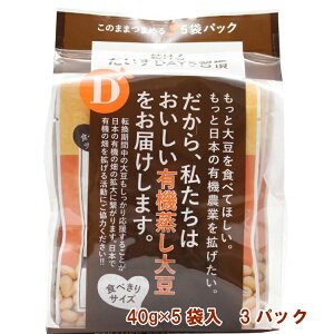 fCY 邾DAYSK 40g×5 3pbN@̓
