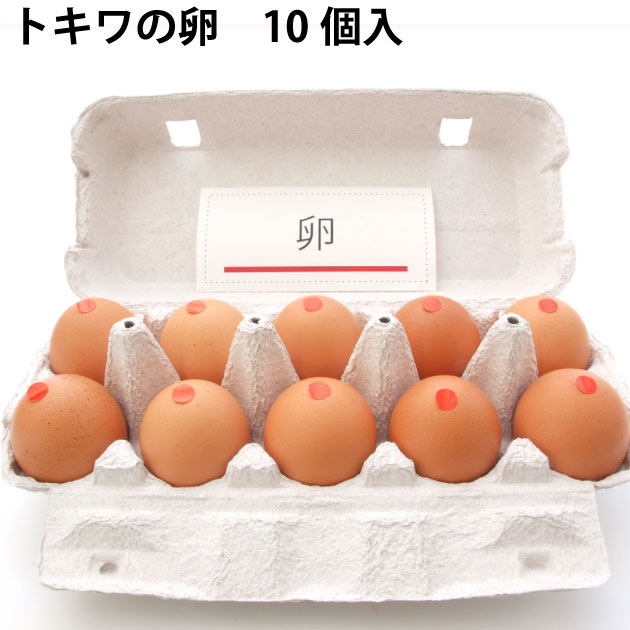 トキワの卵10個 健康に育てられた鶏の卵10個
