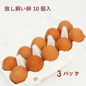 Rt@[_  10 3pbN@̓