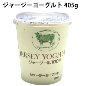 ^JnV W[W[[Og 405g@̓
