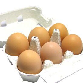 カンナンファーム 丹波やまぶき卵 6個