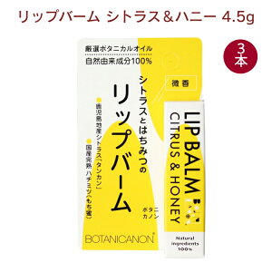 {^jJm bvo[ VgXnj[ 4.5g 3{@̓