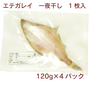 n粐Y GeKC銱 120g@1× 4pbN@@@̓