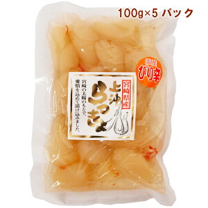 ㉫Y {茧Y҂h傤 100g 5pbN@̓