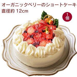 y\zNX}X@OV[k I[KjbNx[̃V[gP[L a12cm× 1 N[P[L mَq Ⓚ LO a@\F12/10`