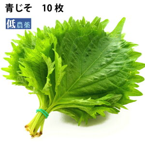 @_ 10×1pbN@Ăƕ֗Ȗ