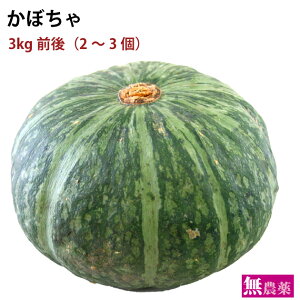 ڂ _͔| 3kgOi2`3j