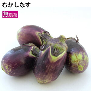 ނȂ VY _͔| 5kgO@V`