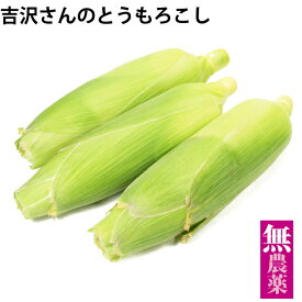 【予約・特別価格】毎年人気　とうもろこし 埼玉県産 無農薬栽培 　【15本】　※6月末～7月初めに発送を開始予定