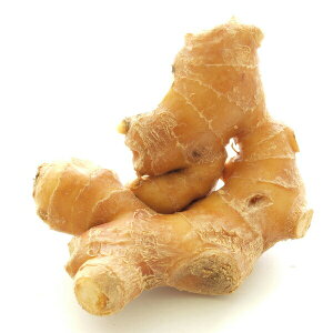 yR傤 mY _͔| 600g@Ăƕ֗Ȗ