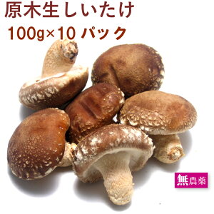 ̂@ő ؍͔| ő 5`6×10pbN@@̓