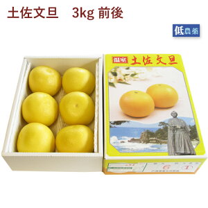 y\zyU mY 3kgOi5`6j _͔| MtgɍœK  12/10甭\