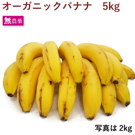 オーガニック バナナ 5kg フルーツ 果物
