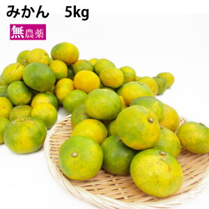 ݂@ 5kgO@_͔| k@Mtgɂǂ