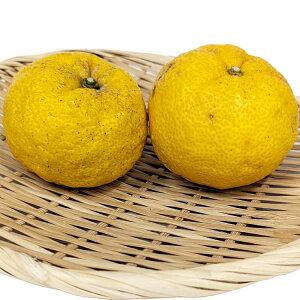 䂸 300gOi2`3j _͔| QY