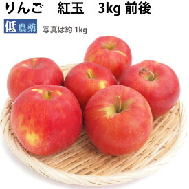 りんご 紅玉 青森県産 低農薬栽培 3kg前後