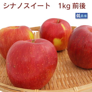 񂲁@VimXC[g@_͔| 1kgO@쌧\i@̓