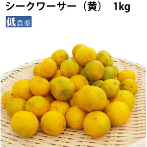 シークワーサー 国産 沖縄県産 低農薬栽培 1kg前後