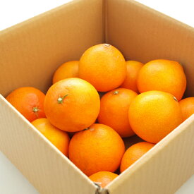 期間限定 ギフトに最適　紅まどんな 約3kg（15個前後）無農薬栽培 愛媛生まれの柑橘　紅マドンナ マドンナみかん 甘みたっぷり