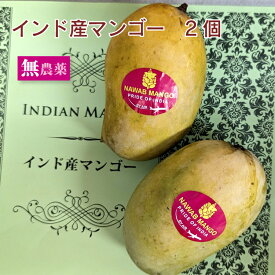 インド産マンゴー　2個　無農薬栽培