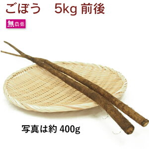 ڂ _͔| 5kgO